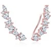 Beneto Shiny ilgi auskarai su skaidriais cirkoniais AGUP3299W-ROSE