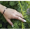 Beneto Exclusive Juodas cord bracelet Tree of Life AGB535