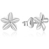 Beneto Fine sidabrinis earrings studs AGUP747L