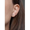 Beneto Impressive sidabrinis auskarai su cirkoniais AGUP765L
