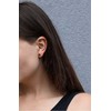 Beneto Rožinė auksinis plated sidabrinis earrings AGUP1956-ROSE