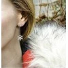 Beneto Shiny sidabrinis earrings Snowflakes AGUP2753