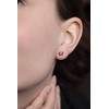 Beneto Sidabrinis earrings AGUP1560S