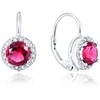 Beneto Sidabrinis Glittering Earrings AGUC1158