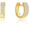 Beneto Timeless auksiniu dengti auskarai AGUC2609-GOLD