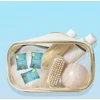 Body Restore Bliss Shower Steamers