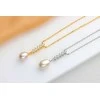 Brilio Silver Brilio Sidabrinis Beautiful sidabrinis pakabukas with real pearl NCL130W
