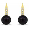 Brilio Silver Gold-plated set with dark pearls and zircons SET291YBC (pendant, earrings)