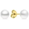 Brilio Silver Brilio Sidabrinis Charming auksinis-plated stud earrings with real pearls EA585/6/7/8Y