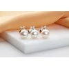 Brilio Silver Brilio Sidabrinis Matching auksinis-plated earrings with pearls and zircons EA971Y