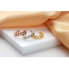 Brilio Silver Brilio Sidabrinis Decent sidabrinis earring EA771W