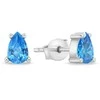 Brilio Silver Brilio Sidabrinis Matching sidabrinis earrings with mėlynas zircons EA860WAQ