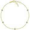 Brilio Silver Brilio Sidabrinis Delicate auksinis-plated anklet with zircons ANK106Y