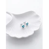Brilio Silver Brilio Sidabrinis Delicate sidabrinis auskarai su cirkoniais Širdelės EA599WLB
