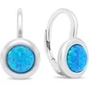 Brilio Silver Brilio Sidabrinis Delicate sidabrinis earrings with synthetic opals EA376WB