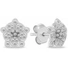 Brilio Silver Beautiful sidabrinis jewelry set with zircons Flowers SET264W (pendant, earrings)