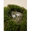 Brilio Silver Glittering sidabrinis earrings Bow tie EA1273W