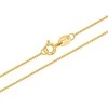 Brilio Silver Gold-plated chain Venezia CN010Y