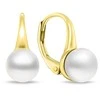 Brilio Silver Brilio Sidabrinis Gold-plated pearl earrings EA938Y