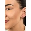 Brilio Silver Happy sidabrinis earrings for good luck Ladybugs EA435W