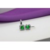 Brilio Silver Brilio Sidabrinis Beautiful sidabrinis earrings with zircons EA399WG