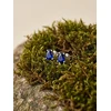 Brilio Silver Brilio Sidabrinis Matching sidabrinis earrings with mėlynas zircons EA860WB