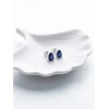 Brilio Silver Brilio Sidabrinis Matching sidabrinis earrings with mėlynas zircons EA860WB
