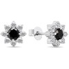 Brilio Silver Brilio Sidabrinis Matching sidabrinis earrings with zircons Flowers EA577WBC