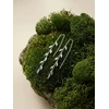 Brilio Silver Sidabrinis chain earrings Leaves with zircons EA1263W