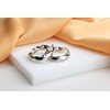 Brilio Silver Sidabriniai apskritimai EA1148W