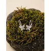 Brilio Silver Sidabrinis dangle earrings with zircons Butterfly EA1272W
