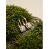Brilio Silver Sparkling auksinis-plated earrings with zircons EA396Y