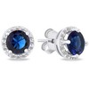 Brilio Silver Brilio Sidabrinis Sparkling sidabrinis auskarai su cirkoniais EA601WB