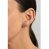 Brilio Silver Sparkling sidabrinis earrings snowflakes with zircons EA1247W