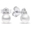 Brilio Silver Brilio Sidabrinis Sidabrinis jewelry set with real pearls SET228W (pakabukas, earrings)