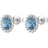 Brosway Elegant sidabrinis earrings Fancy Cloud Light Mėlyna FCL17