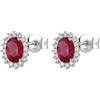 Brosway Elegant sidabrinis auskarai Fancy Passion Ruby FPR15