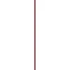 „Catrice“ spalvota glazūra „Tinte Labial 030 – In My Cherry Era“, 3 ml