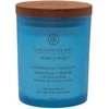 Chesapeake Bay Candle maža žvakė – Confidence &amp; Freedom (Oak Moss Amber)