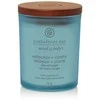 Chesapeake Bay Candle maža žvakė – Reflection &amp; Clarity (Sea Salt Sage)