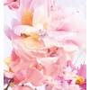 Kvepalai moterims Christian Dior Miss Dior Blooming Bouquet (EDT, 50 ml)