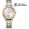 Laikrodis Citizen Eco-Drive EM0506-77A