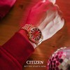 Laikrodis Citizen TSUYOSA Automatic NJ0153-82X