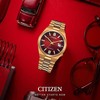 Laikrodis Citizen TSUYOSA Automatic NJ0153-82X
