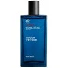 Collistar Uomo Acqua Vetiver EDT tualetinis vanduo vyrams, 100 ml