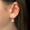 Crystalp Plieniniai auskarai su Swarovski kristalais Diana 4119.CRY.E
