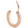 Daniel Wellington Blizgantis bronzinis auskaras su kristalais DW00400861