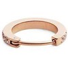 Daniel Wellington Blizgantis bronzinis auskaras su kristalais DW00400861