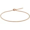 Daniel Wellington Auksuota apyrankė su Hadek Charms pakabukais DW00400394
