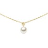 Daniel Wellington Auksu padengtas vėrinys su Swarovski perlais DW00401958
